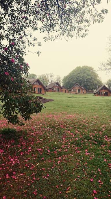 Bungalow 62,North Cornwall, St. Tudy Saint Tudy المظهر الخارجي الصورة
